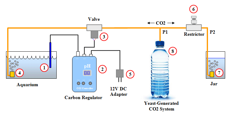 Yeast CO2 reactor